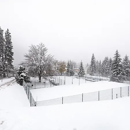Alle Terrazze Appartamento Ponte Di Legno